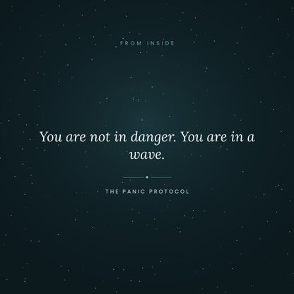 The Panic Protocol — A Field Manual for When Your Body Decides It’s an Emergency/ Printable Anxiety Coping Guide