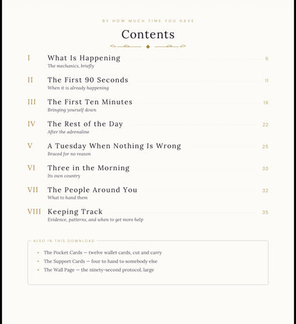 The Panic Protocol — A Field Manual for When Your Body Decides It’s an Emergency/ Printable Anxiety Coping Guide